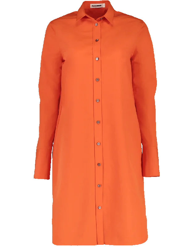 Ginepro Straight Fitted Shirt Dress